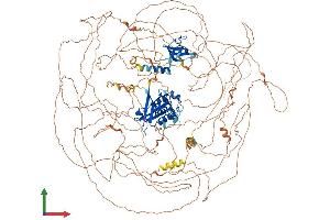 AlphaFold protein structure predicition of Mouse Recombinant Shank2 Protein, UniprotID Q80Z38