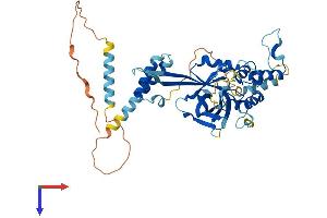 AlphaFold protein structure predicition of Human Recombinant FBXO9 Protein, UniprotID Q9UK97