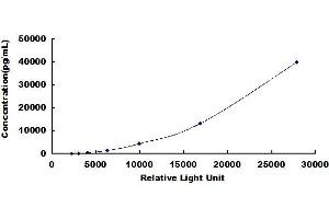 Typical standard curve