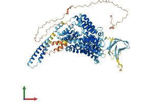 AlphaFold protein structure predicition of Mouse Recombinant Oca2 Protein, UniprotID Q62052