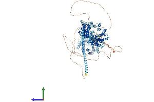 AlphaFold protein structure predicition of Mouse Recombinant Ctr9 Protein, UniprotID Q62018