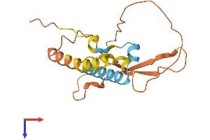 AlphaFold protein structure predicition of Human Recombinant KRBOX4 Protein, UniprotID Q5JUW0