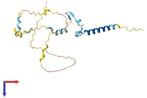AlphaFold protein structure predicition of Mouse Recombinant Ift43 Protein, UniprotID Q9DA69