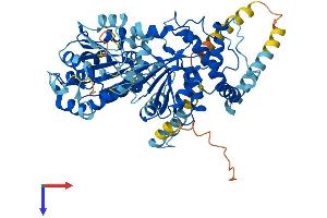 AlphaFold protein structure predicition of Mouse Recombinant Ddx55 Protein, UniprotID Q6ZPL9