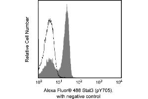 Flow Cytometry (FACS) image for anti-Signal Transducer and Activator of Transcription 3 (Acute-Phase Response Factor) (STAT3) (pTyr705) antibody (Alexa Fluor 488) (ABIN1177201) (STAT3 anticorps  (pTyr705) (Alexa Fluor 488))