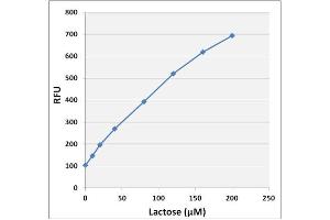 Lactose standard curve (Lactose Assay Kit)