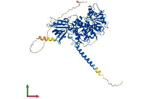 AlphaFold protein structure predicition of Mouse Recombinant Mtmr2 Protein, UniprotID Q9Z2D1