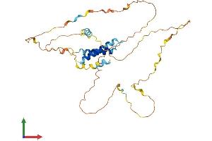 AlphaFold protein structure predicition of Human Recombinant IER5 Protein, UniprotID Q5VY09