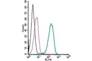 Cell surface detection of Ghrelin Receptor by indirect flow cytometry in live intact human THP-1 monocytic leukemia cells: (black line) Cells.