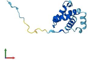 AlphaFold protein structure predicition of Human Recombinant CNFN Protein, UniprotID Q9BYD5