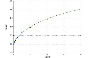 A typical standard curve (P2RX7 Kit ELISA)