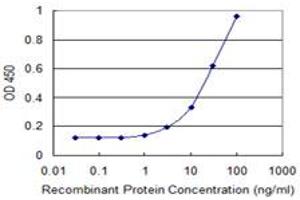 Detection limit for recombinant GST tagged REXO2 is 1 ng/ml as a capture antibody. (REXO2 anticorps  (AA 101-210))
