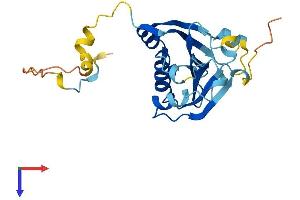 AlphaFold protein structure predicition of Human Recombinant EIF4E3 Protein, UniprotID Q8N5X7
