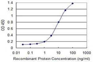 Detection limit for recombinant GST tagged ATF1 is 0.