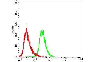 Flow cytometric analysis of THP-1 cells using CD5 mouse mAb (green) and negative control (red). (CD5 anticorps  (AA 403-495))