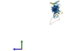 AlphaFold protein structure predicition of Human Recombinant EXOC6B Protein, UniprotID Q9Y2D4