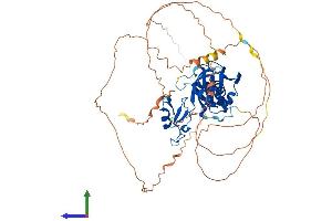 AlphaFold protein structure predicition of Human Recombinant CPEB2 Protein, UniprotID Q7Z5Q1