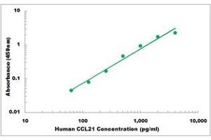 Representative Standard Curve (CCL21 Kit ELISA)