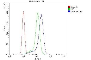 Flow Cytometry analysis of K562 cells using anti-RAB27A antibody (ABIN7602714). (RAB27A anticorps  (AA 98-216))