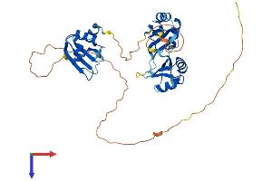 AlphaFold protein structure predicition of Human Recombinant TIA1 Protein, UniprotID P31483