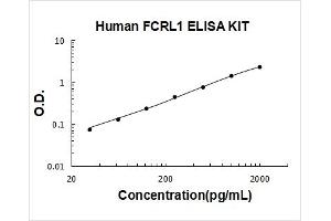 Typical Standard Curve