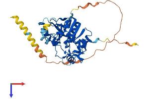 AlphaFold protein structure predicition of Human Recombinant ST6GALNAC5 Protein, UniprotID Q9BVH7