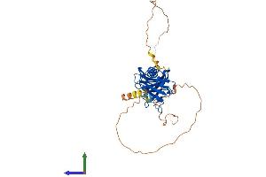 AlphaFold protein structure predicition of Mouse Recombinant Tbpl2 Protein, UniprotID Q6SJ95