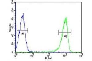 RANKL antibody flow cytometric analysis of HL-60 cells (right histogram) compared to a negative control (left histogram).