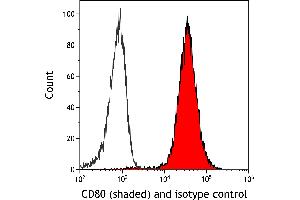 Flow Cytometry (FACS) image for anti-CD80 (CD80) (AA 35-246) antibody (ABIN7449415) (Recombinant CD80 anticorps  (AA 35-246))
