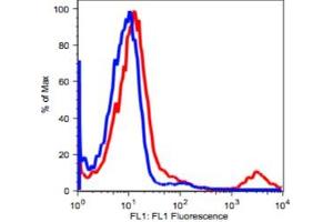 Image no. 2 for anti-Membrane-Spanning 4-Domains, Subfamily A, Member 1 (MS4A1) antibody (ABIN2704210)