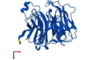 AlphaFold protein structure predicition of Mouse Recombinant Rgn Protein, UniprotID Q64374