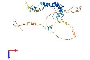 AlphaFold protein structure predicition of Mouse Recombinant Spry2 Protein, UniprotID Q9QXV8