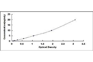 Typical standard curve