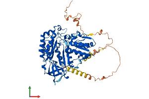 AlphaFold protein structure predicition of Human Recombinant CDKAL1 Protein, UniprotID Q5VV42