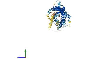 AlphaFold protein structure predicition of Human Recombinant BDKRB2 Protein, UniprotID P30411