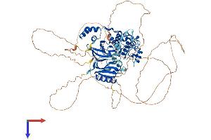 AlphaFold protein structure predicition of Mouse Recombinant Mark1 Protein, UniprotID Q8VHJ5