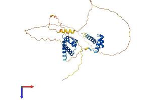 AlphaFold protein structure predicition of Mouse Recombinant Pou4f3 Protein, UniprotID Q63955