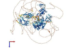 AlphaFold protein structure predicition of Human Recombinant HECW2 Protein, UniprotID Q9P2P5
