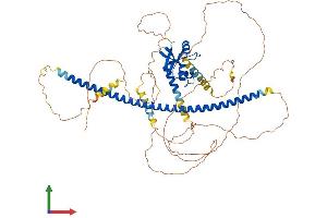 AlphaFold protein structure predicition of Mouse Recombinant Dach2 Protein, UniprotID Q925Q8