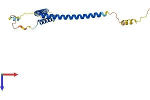 AlphaFold protein structure predicition of Mouse Recombinant Med28 Protein, UniprotID Q920D3