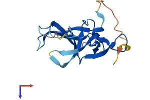 AlphaFold protein structure predicition of Human Recombinant FAM72B Protein, UniprotID Q86X60