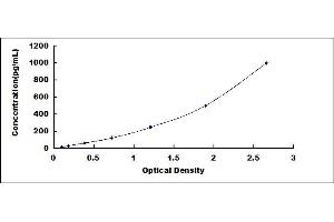 Typical standard curve