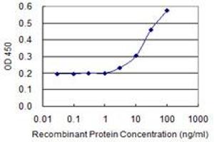 Detection limit for recombinant GST tagged HOMER1 is 1 ng/ml as a capture antibody. (HOMER1 anticorps  (AA 1-354))