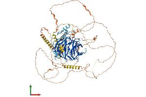 AlphaFold protein structure predicition of Mouse Recombinant Dcaf5 Protein, UniprotID Q80T85