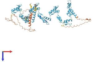 AlphaFold protein structure predicition of Human Recombinant ZNF555 Protein, UniprotID Q8NEP9