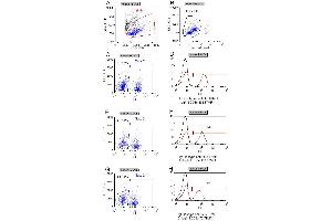 Flow-cytometric analysis of the dose-dependency (D, F, H) of anti-hCD3e antibody binding to live human PBMCs (B). (Recombinant CD3 epsilon anticorps)