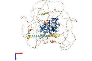 AlphaFold protein structure predicition of Mouse Recombinant Tex14 Protein, UniprotID Q7M6U3