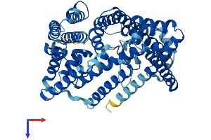 AlphaFold protein structure predicition of Human Recombinant HHATL Protein, UniprotID Q9HCP6