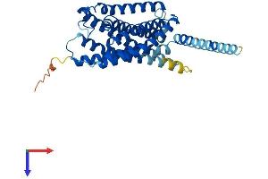 AlphaFold protein structure predicition of Mouse Recombinant P2ry14 Protein, UniprotID Q9ESG6
