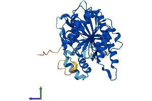 AlphaFold protein structure predicition of Human Recombinant PAFAH2 Protein, UniprotID Q99487